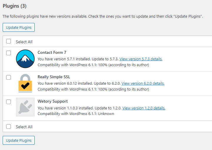 Updates dashboard with Wetory Support plugin in list
